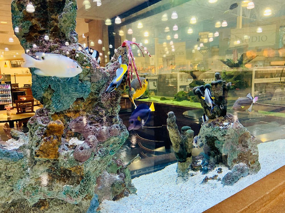Fish tank